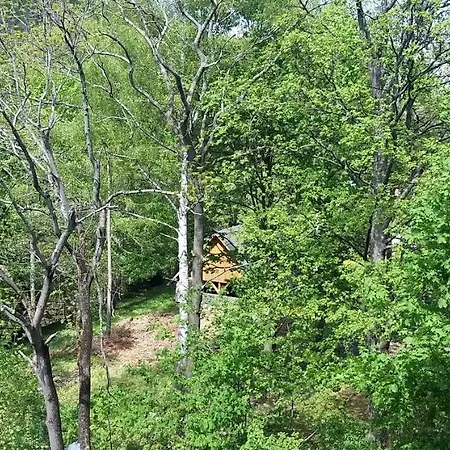 Apartamento Sniezka Karpacz